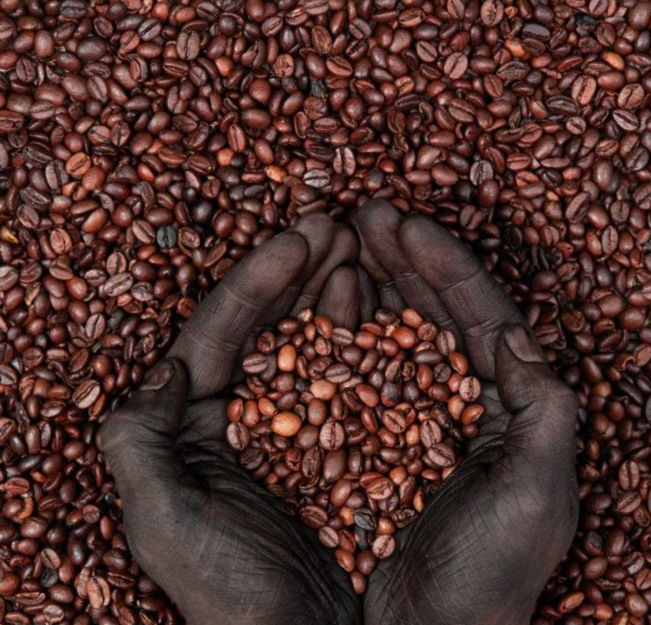 Ethiopian Coffee Culture